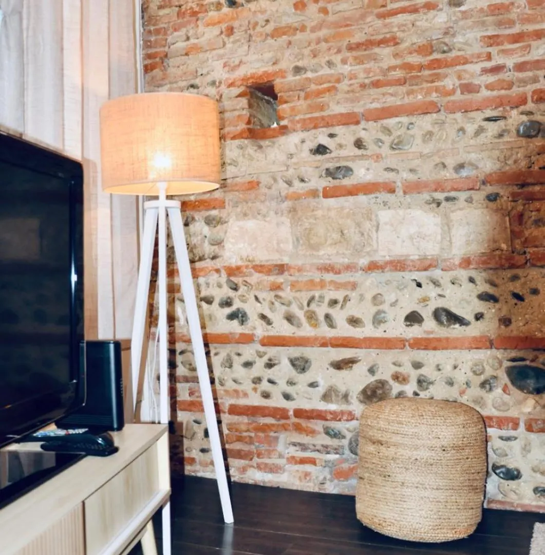 Appartement Le Charme D'Arnaud Hypercentre Wifi Accueil Gratuit H24 à Toulouse